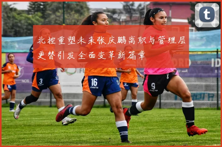 北控重塑未来张庆鹏离职与管理层更替引发全面变革新篇章